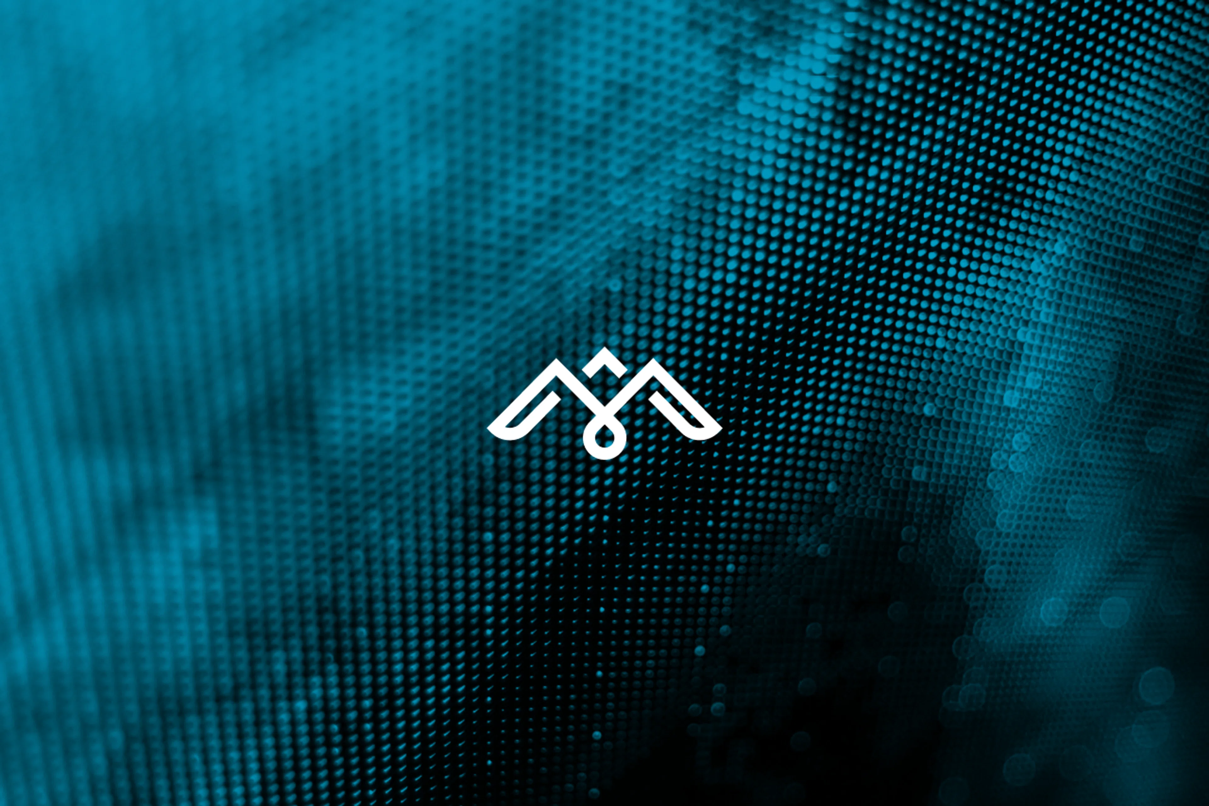 Phoenix at the Digital Economy Award 2025